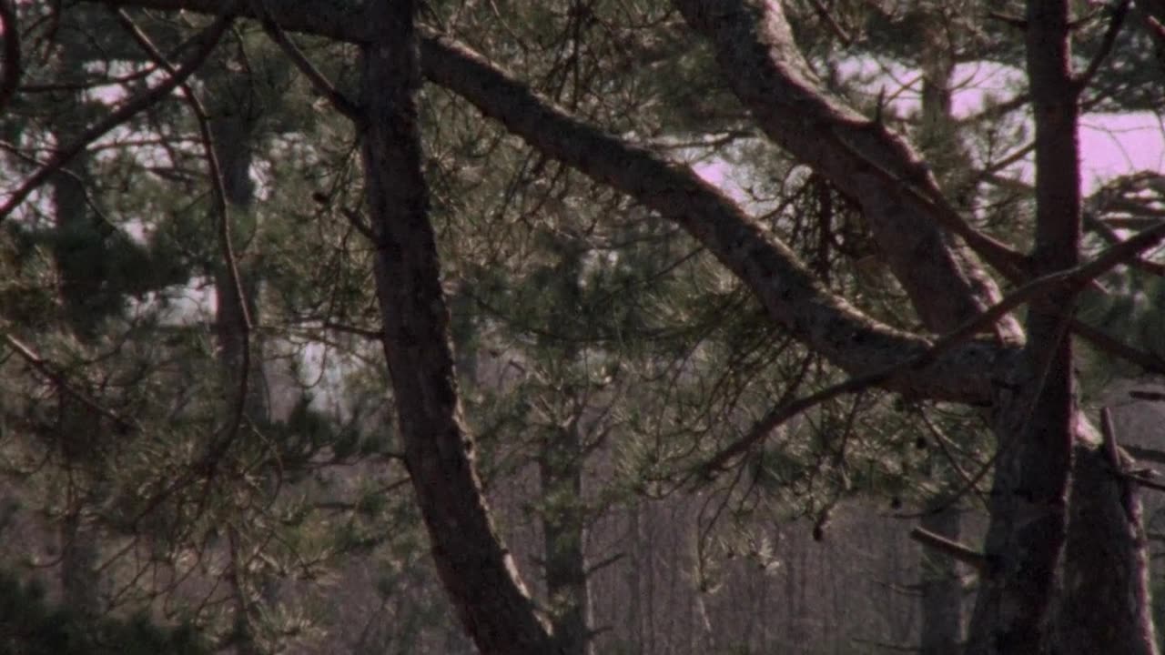 A.Warning.To.The.Curious.1972 BluRay film