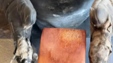 make brown bread