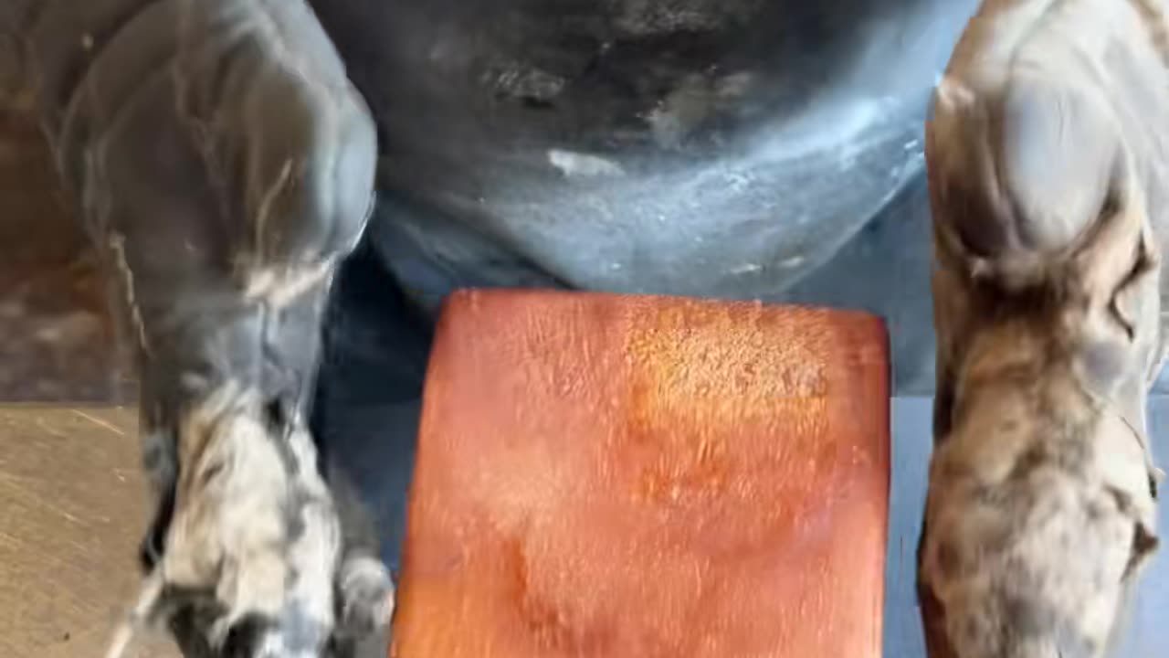 make brown bread