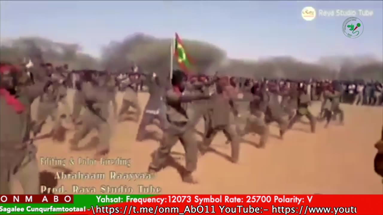 Qophii Humna Weelluu ONM-ABO Ebla 2-2025 itti dhiyaadhaa!