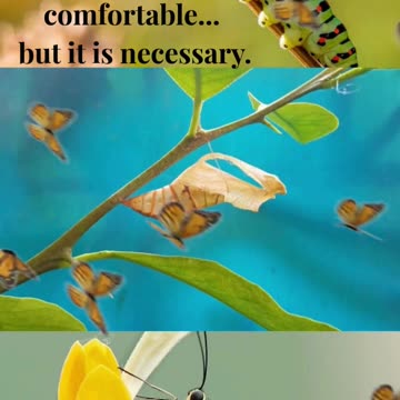 Why True Transformation Requires Letting Go of Who You Were