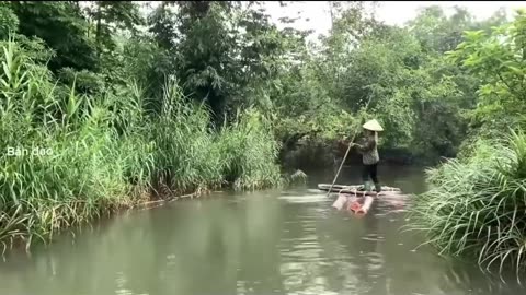 A woman transports wood in a rural river