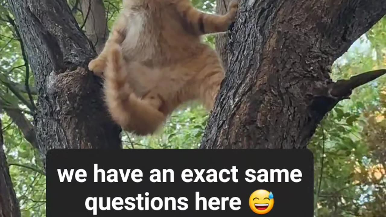 Dont tell me you have an exact same questions as me 😅😅