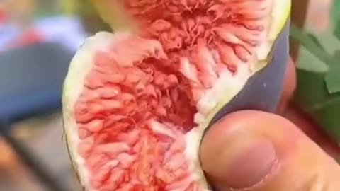 अंजीरसर्दियों का सुपरफूड! ❄️🔥