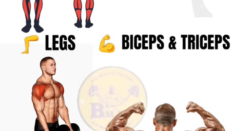 Which Muscle Group is the Hardest to Train ?