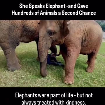 Let’s work this way with real Homo sapiens in the near future…