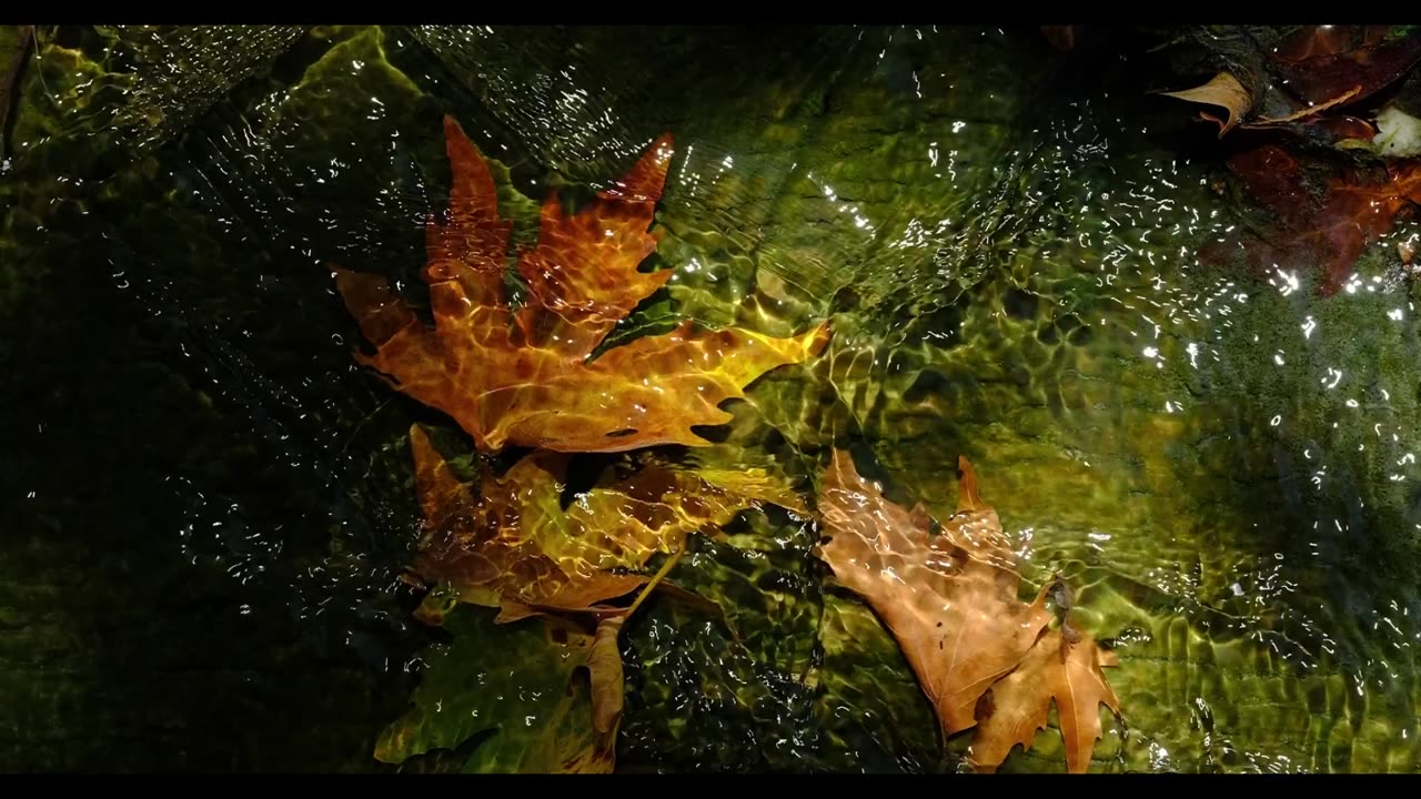 His Love, His Gift, His Son