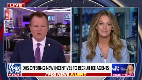 Tricia McLaughlin rips Dem's lawsuit against ICE_ 'Political theater'