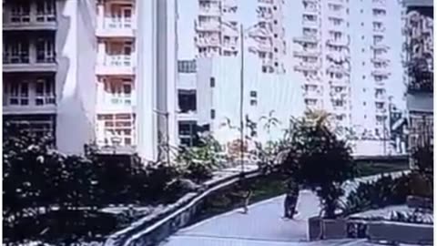 Woman Seriously Injured After Falling While Escaping Dog Attack in Eco Village-1 Society