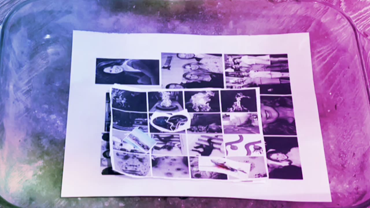 Tim Rifat TikTok Videos