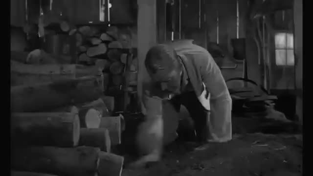 The Man In the Net, Starring Alan Ladd