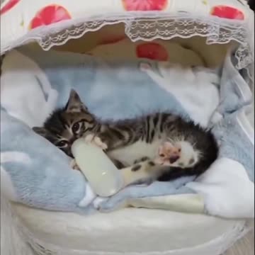 A bit of much needed ket therapy is in order.