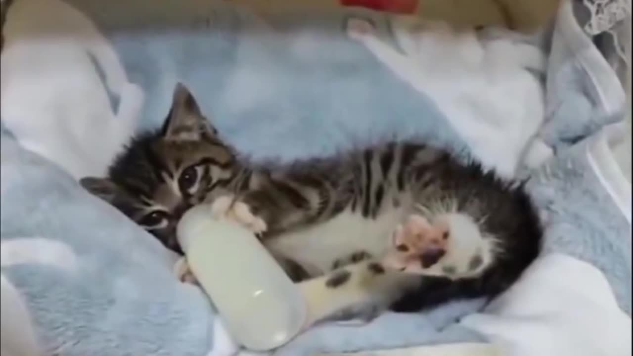 A bit of much needed ket therapy is in order.