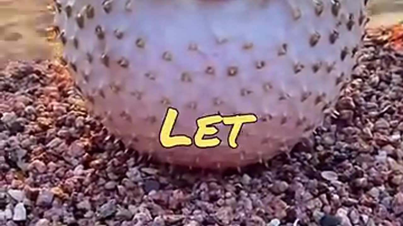 under the sea... FUNNY!!!!!!!!!!!