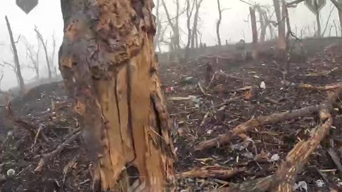 Intense Footage from Ukrainian 3rd Brigade