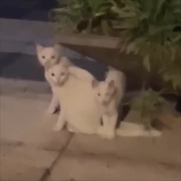 Ctrl-c, ctrl-v.. 😅