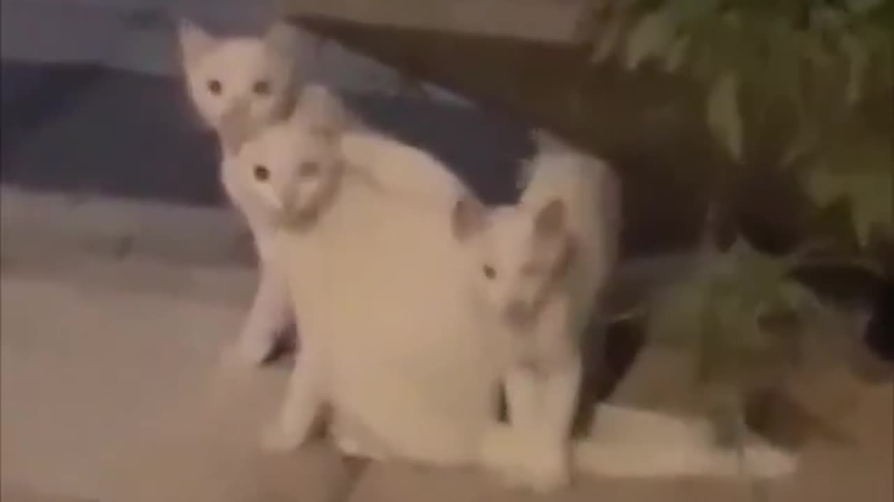 Ctrl-c, ctrl-v.. 😅