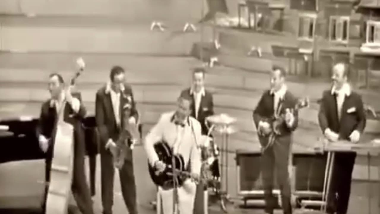 See You Later Alligator Live Highlights 1958