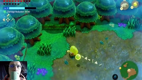 The Legend of Zelda: Echoes of Wisdom | Ep. 46 - Lynel Echo and Final Acorn Location?