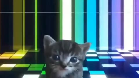 📱😂 You Won't Believe This Silly Thing Found on Telegram! | FunFM