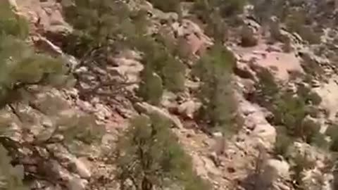 An entire city melted right onto the side of the cliff!