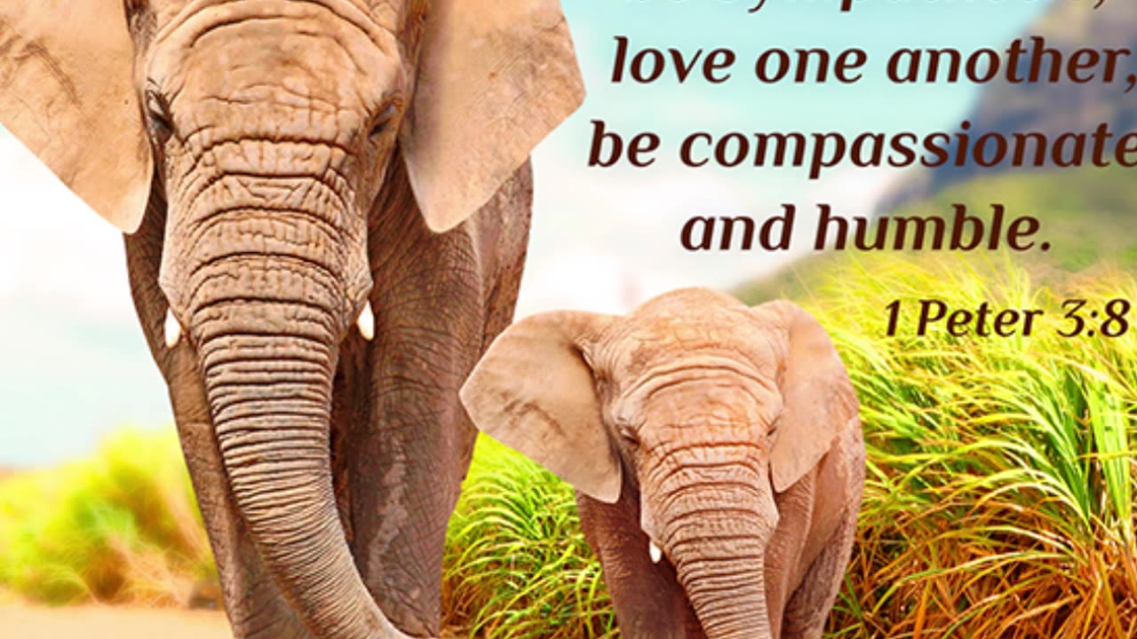 Prayer of Compassion #youtubeshorts #grace #jesus #mercy #faith #fyp #trust #bless #love #joy #hope