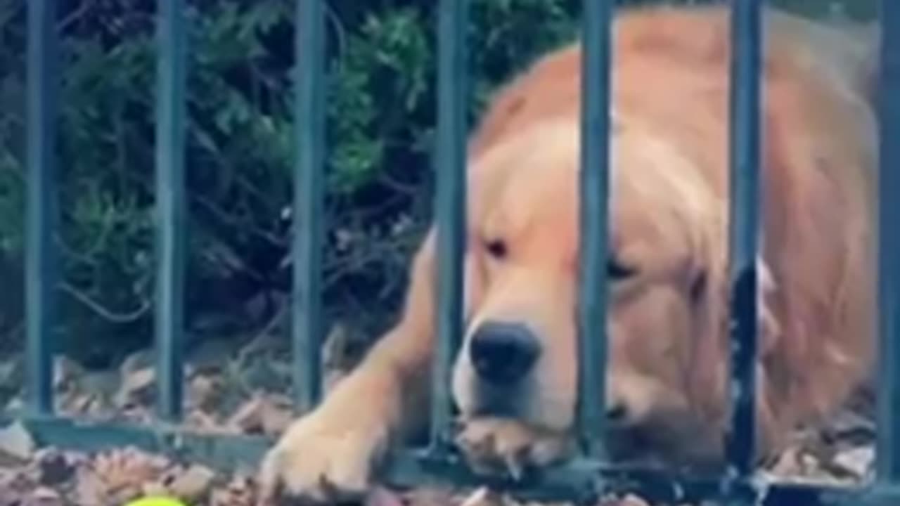 If you feel like giving up, watch this...