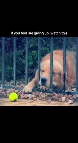 If you feel like giving up, watch this...