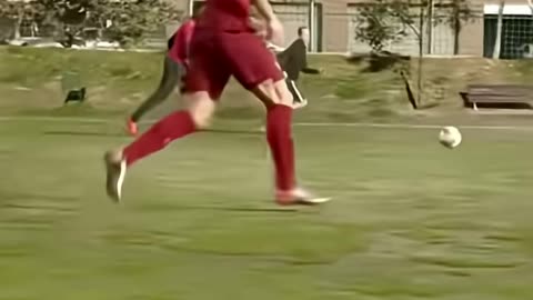 School football was different #school #football #fypシ゚viral #fyp #nike 4mil+