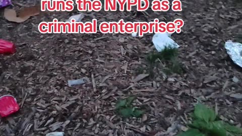New York City mayor Eric Adams is running for re-election.