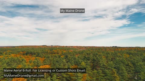 Maine B-Roll (No Sound): Fall Foliage at Lily Pond in New Gloucester, Maine Video 1