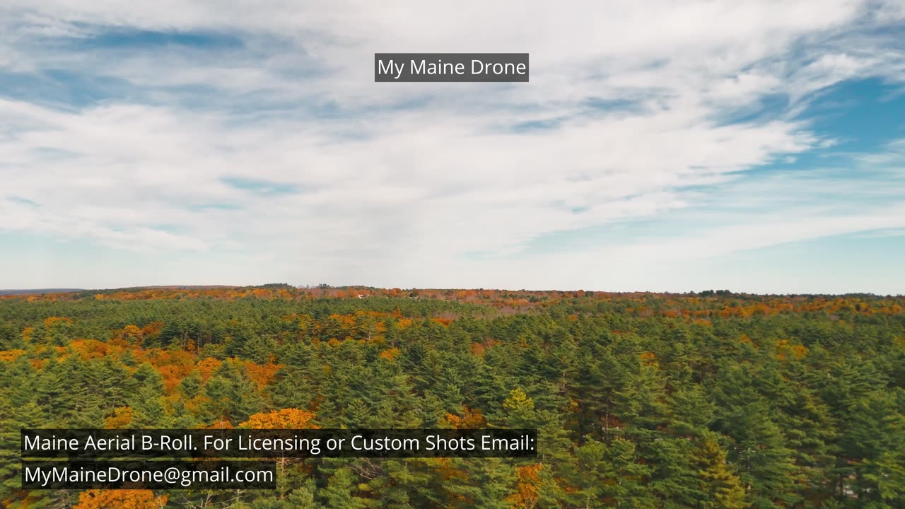 Maine B-Roll (No Sound): Fall Foliage at Lily Pond in New Gloucester, Maine Video 1