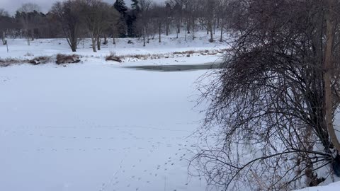 The true north cold and freezing