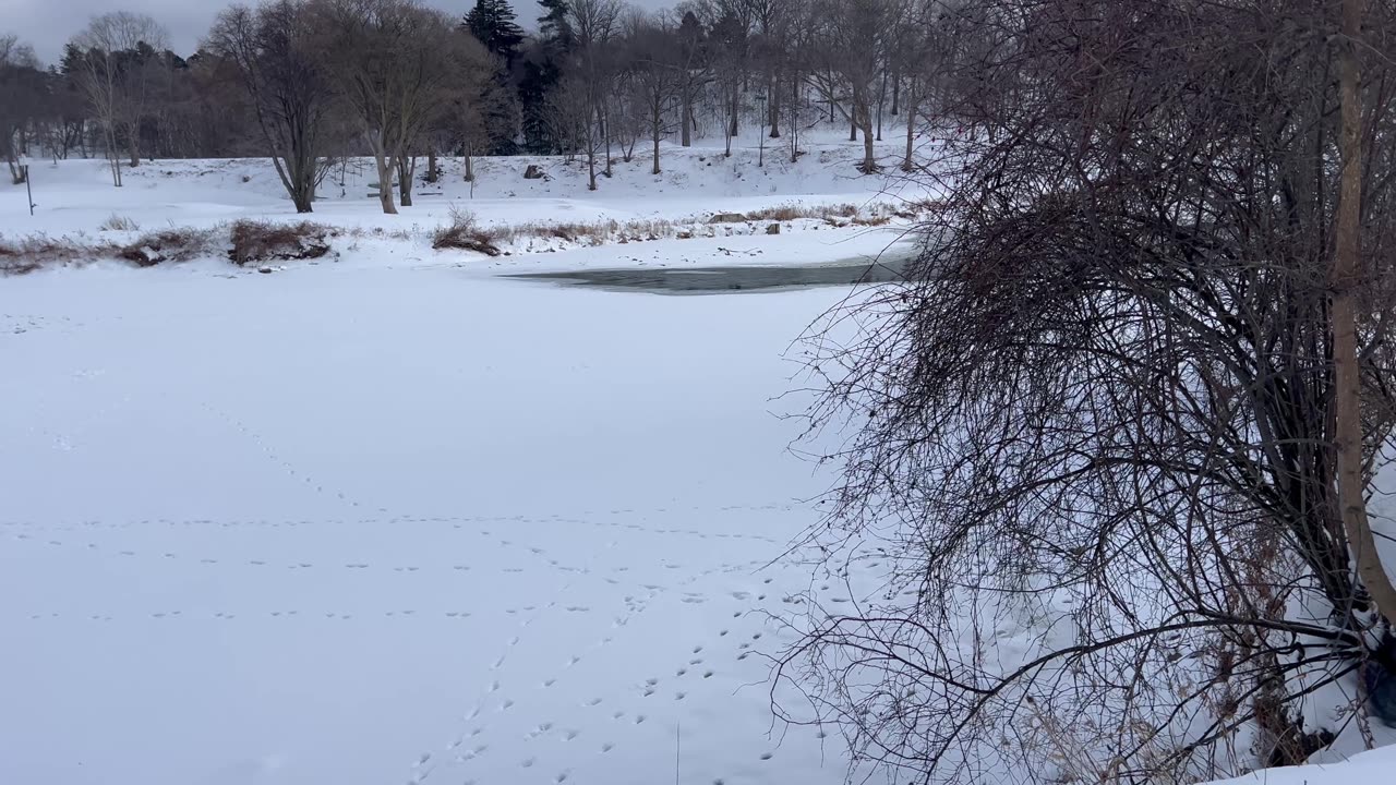 The true north cold and freezing