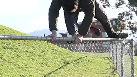 How Animals Get Over a Fence (With Emojis) 😂