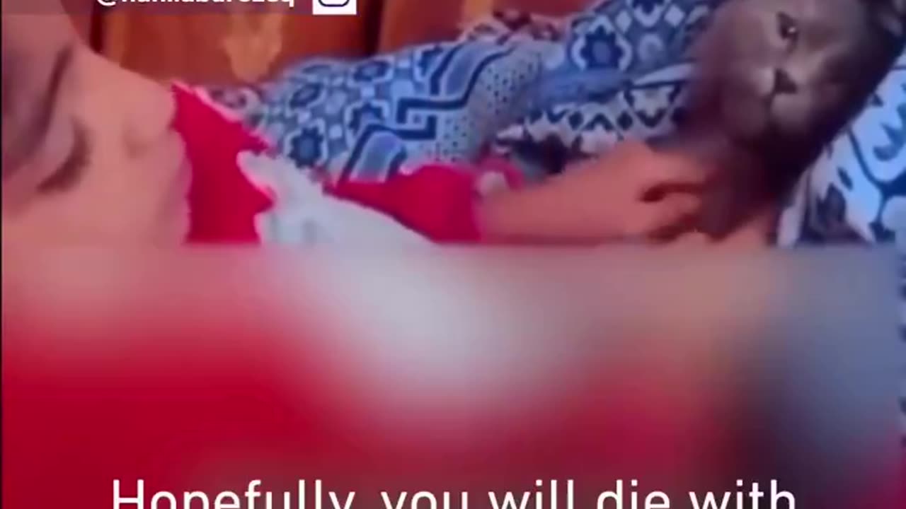 "Please don't eat us...go eat other people!"