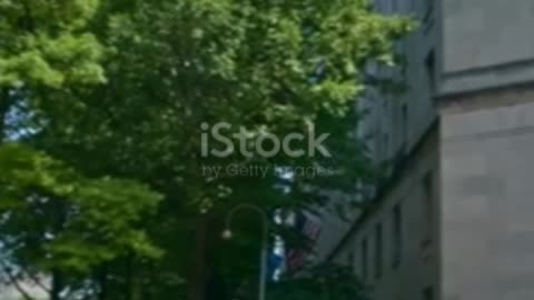 They Lied: The Shocking Truth