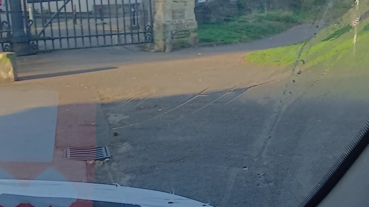 Video could be locals saying TOMORROW THEY EAT CHIUHUAHUA but it isn't. It's me detained for being violated by dog walkers WHO wish to dine on living dogs