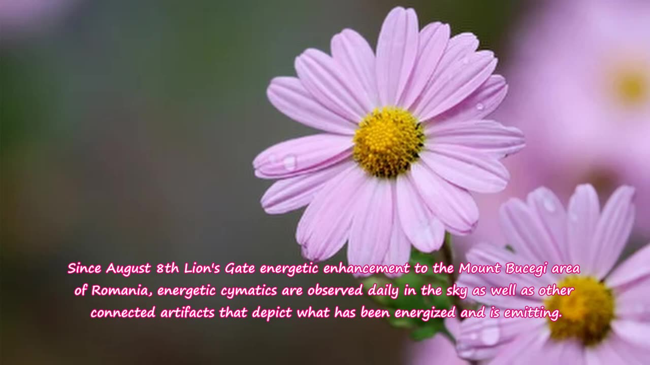 Integrate Peace into Military forces