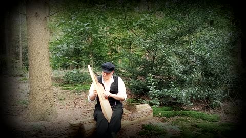 Gothic Harp. Themes of Debussy and H. Von Bingen
