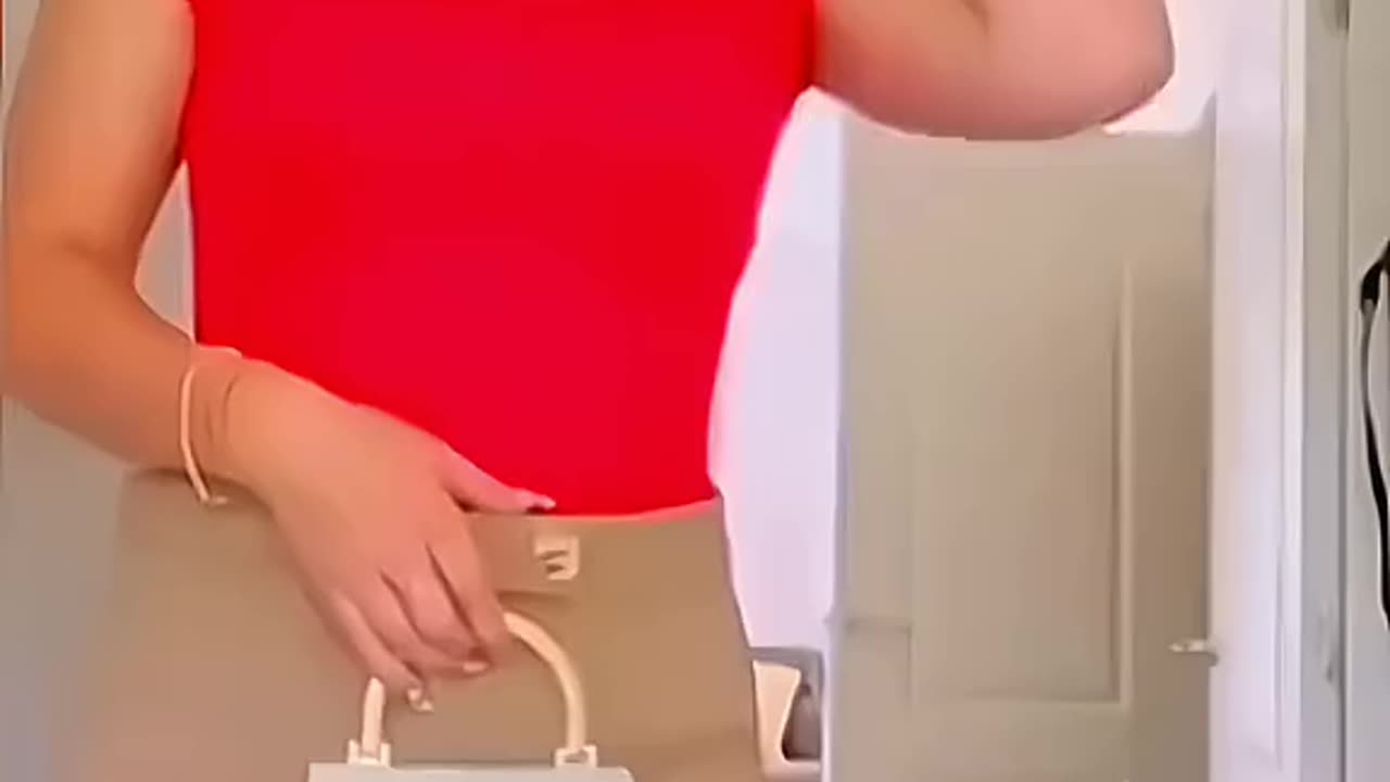 Funny animals