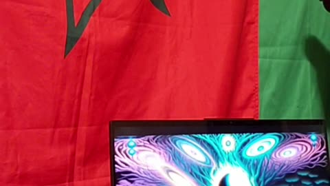 Surreal Laptop Reveals Hidden Truth: The Smoking Gun They Don't Want You To See