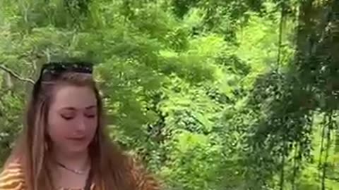 Funny animal video