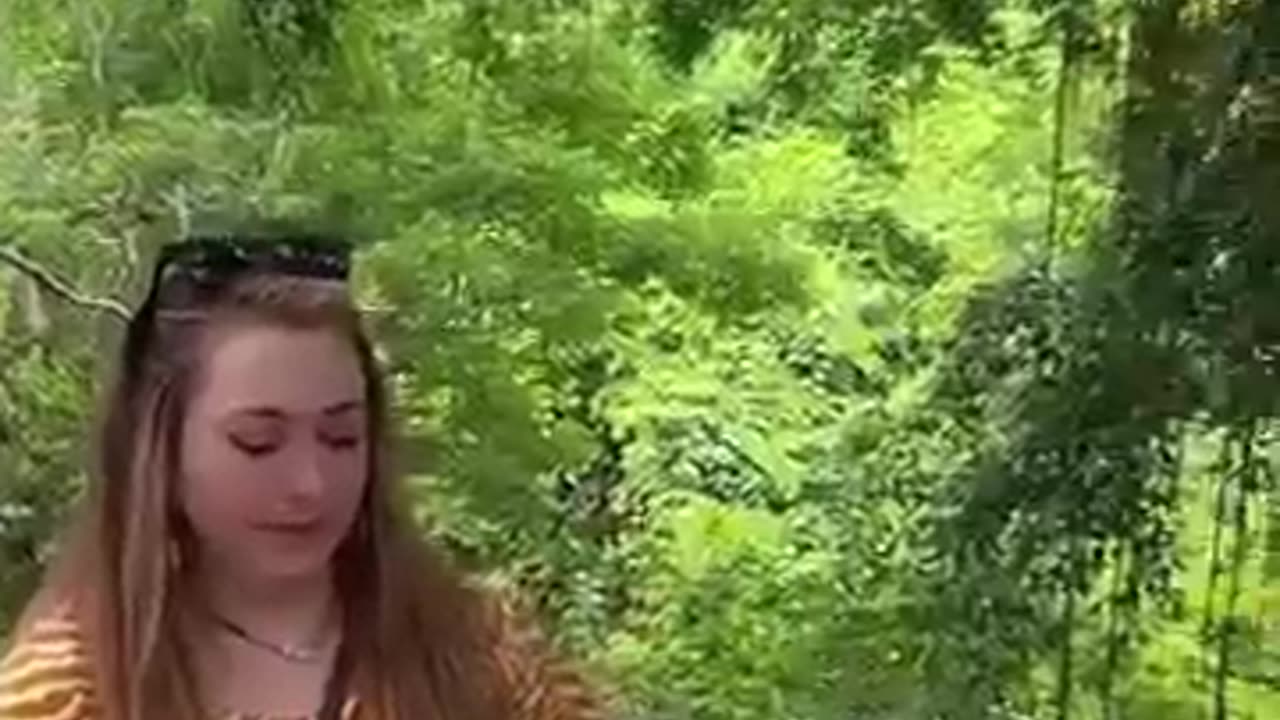 Funny animal video