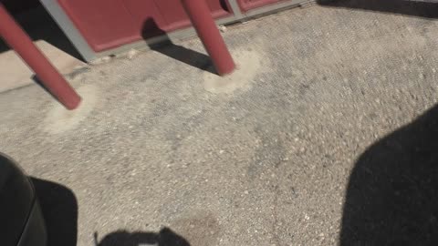 The Wendi bnkywuv creature TOUCHES THE PBS VAN!!!! A DREAM COME TRUE!!!