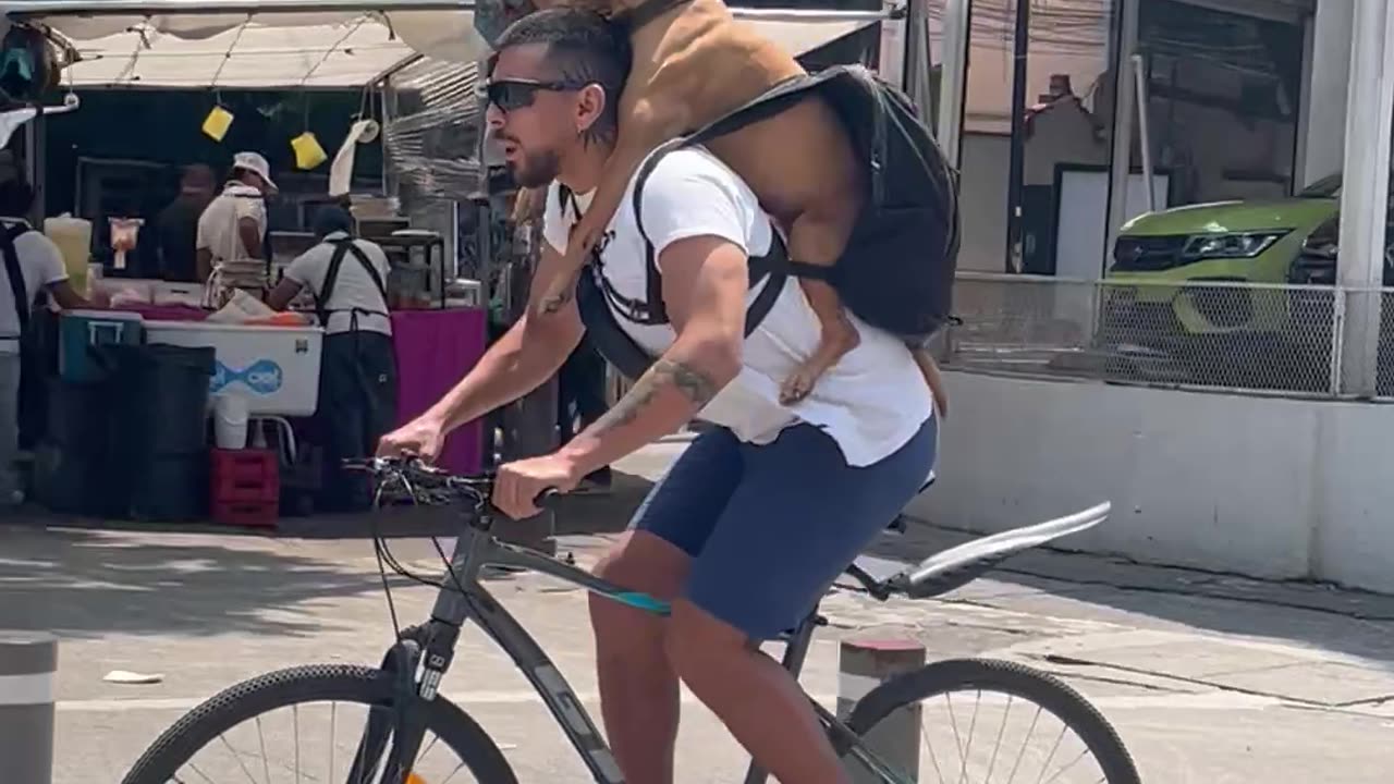 Dog on Owner's Back Riding a Bike