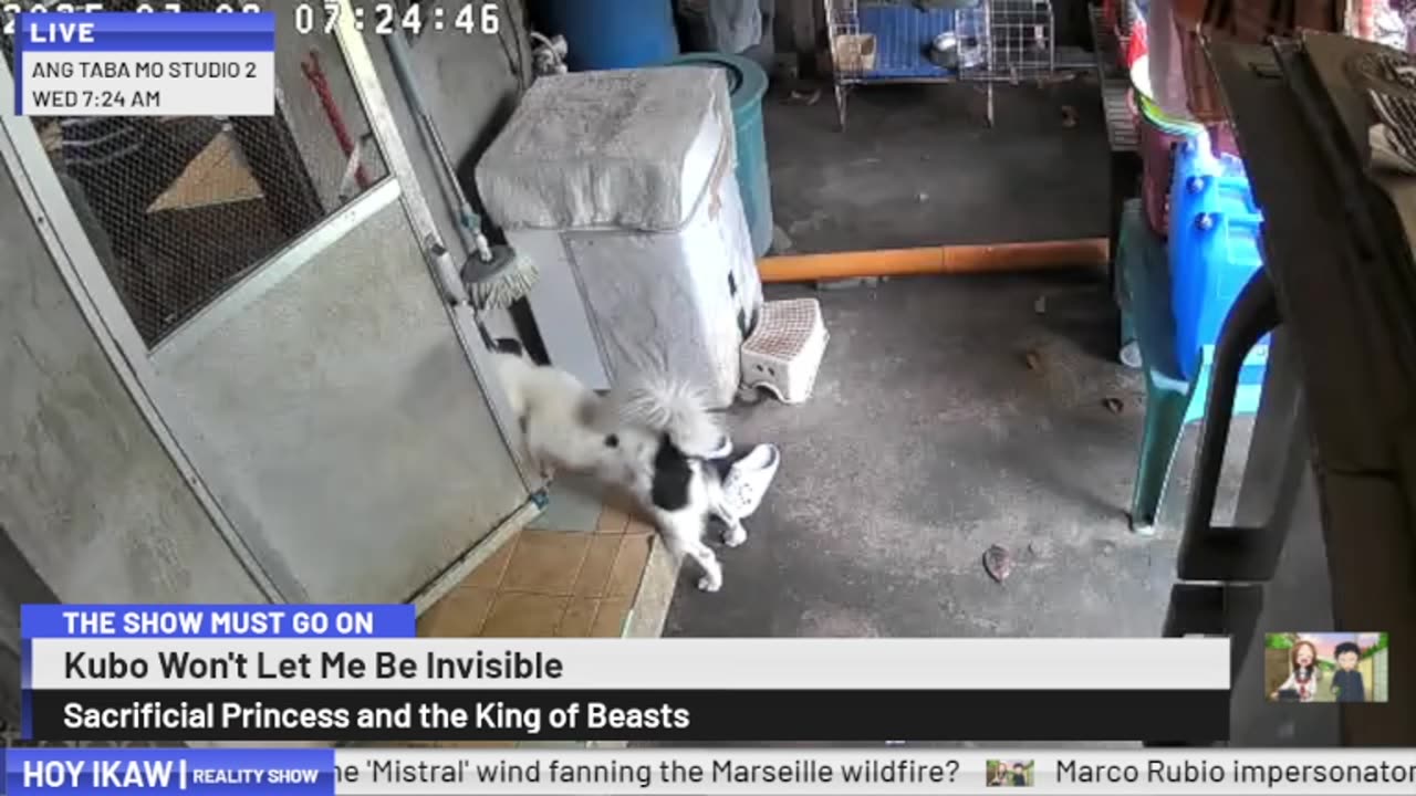 Mitsubishi Xpander 2019 Live