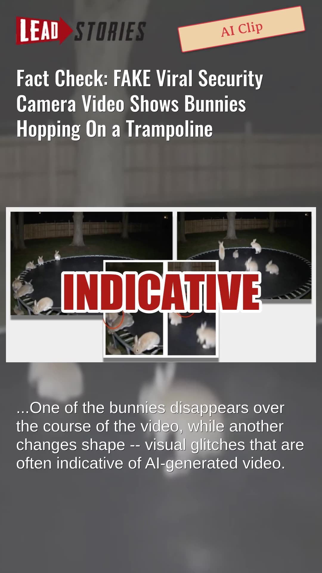 Fact Check: FAKE Viral Security Camera Video Shows Bunnies Hopping On a Trampoline