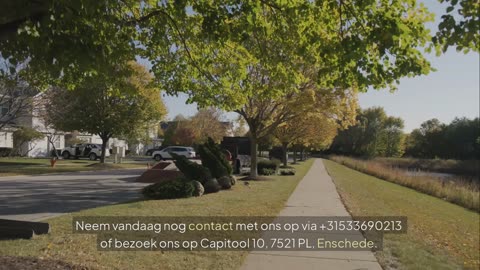 Bent u op zoek naar professionele boomverzorging in Enschede?