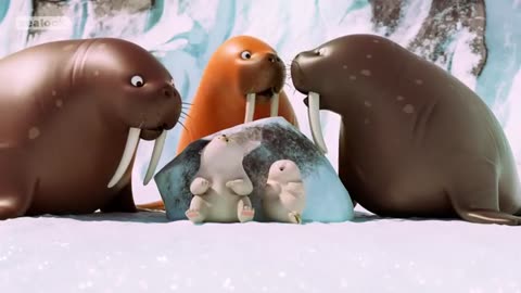 How I Met My Baby Polar Bear?